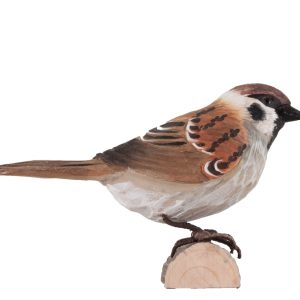 Uccello decorato Tree Sparrow di Wildlife Garden