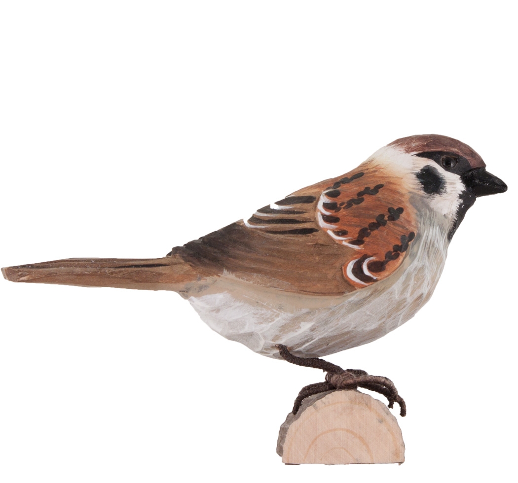 Uccello decorato Tree Sparrow di Wildlife Garden