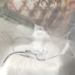 Centro Sibilla Vilca